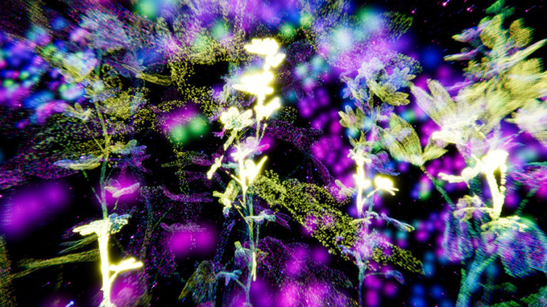 Rasa Smite, Raitis Smits – PLANT INTELLIGENCE